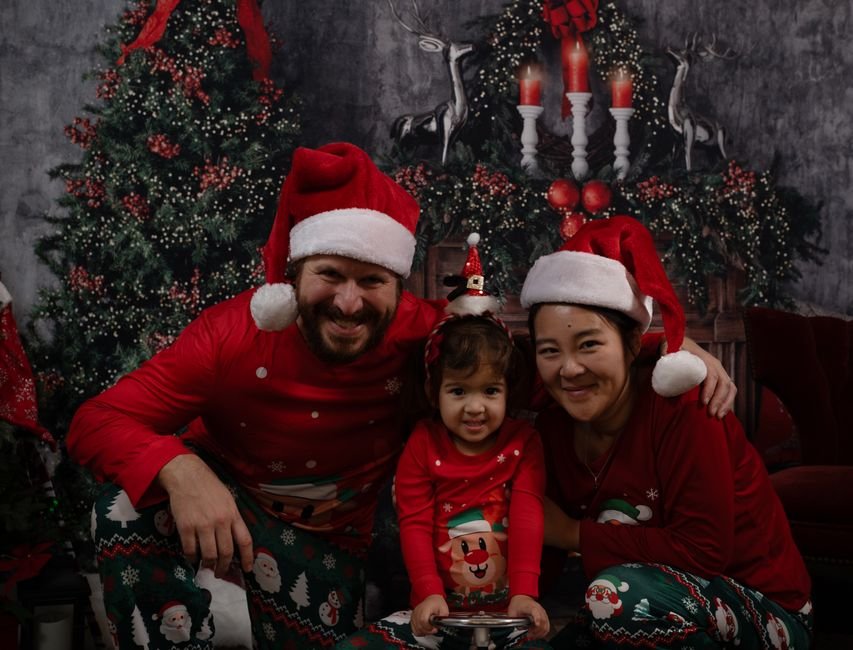 Familia decorando el árbol de Navidad con su perro en casa de forma segura